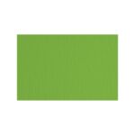 Hamer Fabriano Verde LR 220g 70x100