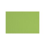 Hamer Fabriano Verde Pisselo LR 220g 70x100